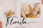 Golding Signature Font