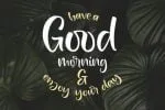 Goldy Font