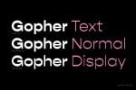 Gopher Complete Font Family