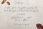 Goppey Font