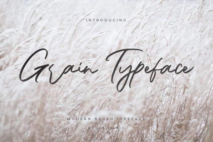 Grain Typeface