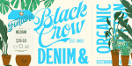 Grand Atlantic Family - 8 Styles Font