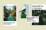 Grand Duke Beautiful Serif Font