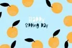 Grapefruit Font