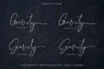 Gravity - Modern Signature Font