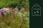 Green Farm Font