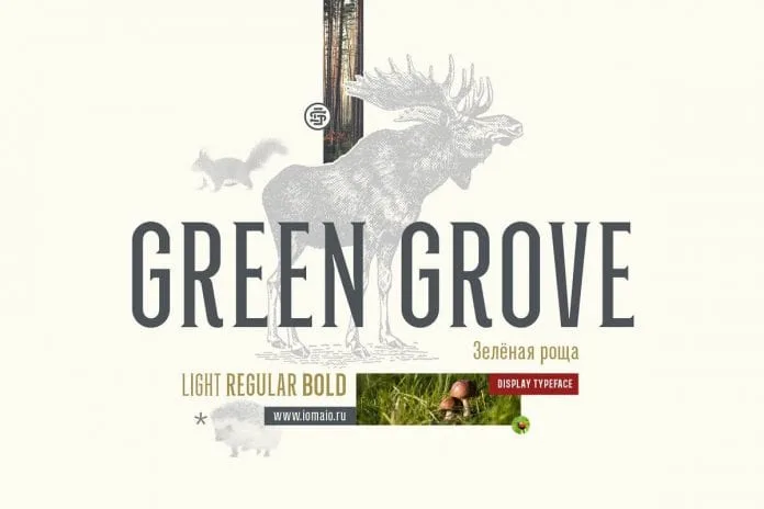Green Grove Font