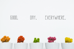 Green Home Font