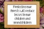 Green House Font