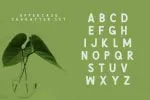 Green Natural Cute Font