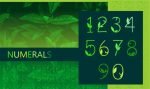 Green Nature Font