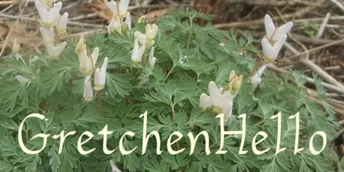 GretchenHello Font