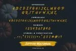 Gronzy Font