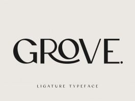 Grove - Modern Ligature Sans Serif