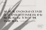 Grove - Modern Ligature Sans Serif