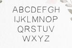 Habel Font