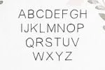 Habel Font