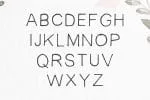 Habel Handmade Duo Font