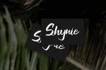 Haditen Script Font