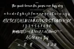 Haditen Script Font