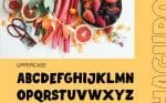 Haguro Bold Display Font