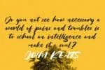 Halley Parades Font