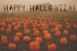 Halloween Woody Alphabet Fonts Family