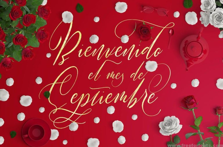 Halosense Script Font Free Download