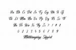 Hamsterly Font