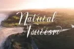 Hand Fast Font
