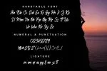 Handtagle - Handbrush Typeface