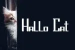 Hantaro Font