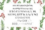 Happy Winter Font