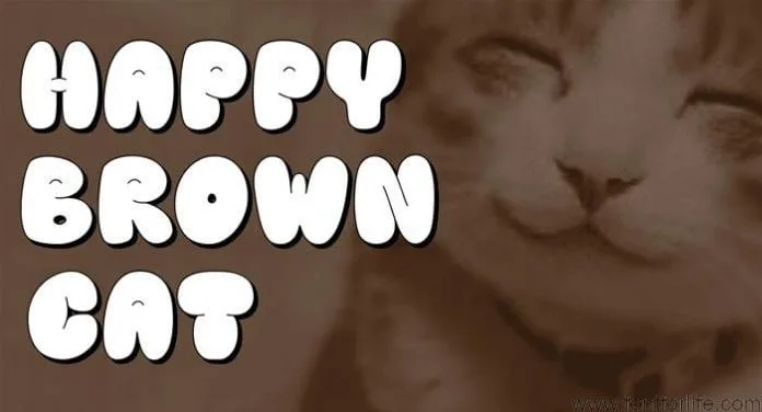Happy Brown Cat Font