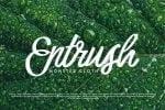 Harbala Elegant Modern Script Font