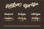 Hardner Font Family - 2 Fonts