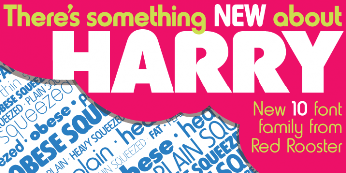 Harry Pro Font