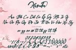 Haruka Font