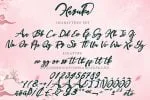 Haruka Font