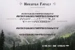 Harumba Brush Font