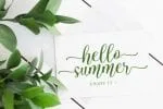 Hastone Brenda Font
