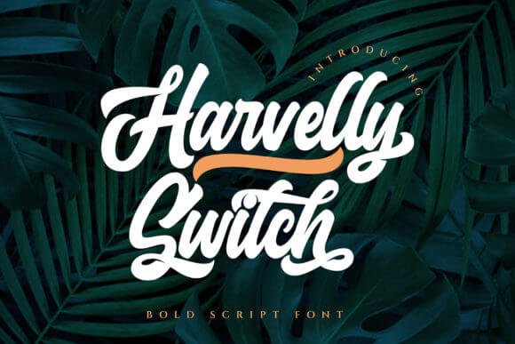 Haverlly Switch Font