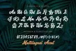 Haverlly Switch Font