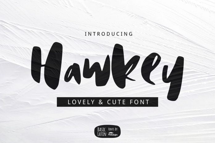 Hawkey Brush Font