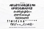 Hawkey Brush Font