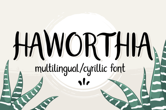 Haworthia Font