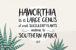 Haworthia Font