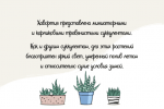 Haworthia Font