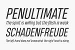 Heading-Pro Fonts