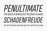 Heading-Pro Fonts
